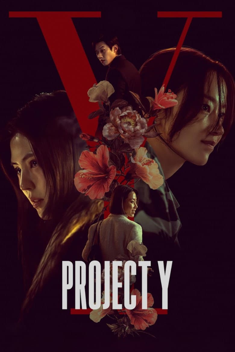 Poster Project Y (2026)